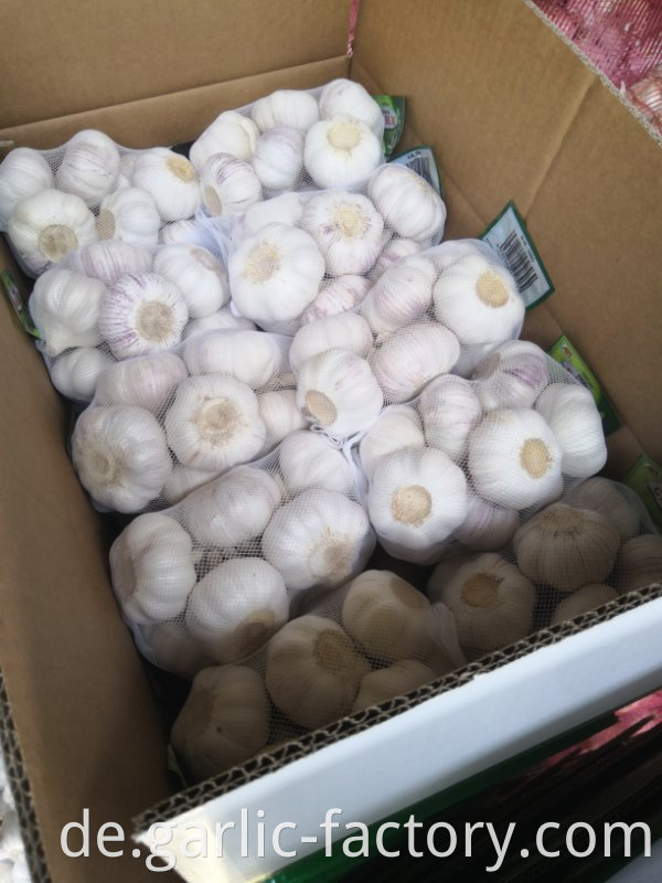 Fresh Natural Garlic Price HOT SALE